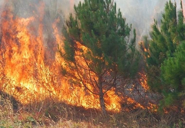 QMK: Dy zjarre janë aktive, tre vatra nën kontroll dhe 22 janë shuar