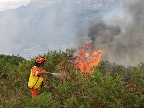 ​21 vatra zjarri në Shqipëri, 11 ende aktive, 3 të tjera në monitorim LAJME 16 gush